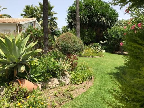 Bed & Breakfast Cortijo Andaluz