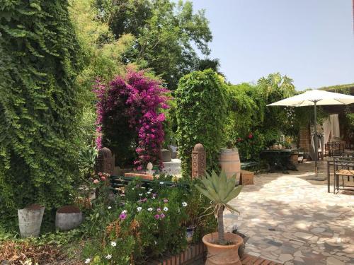 Bed & Breakfast Cortijo Andaluz