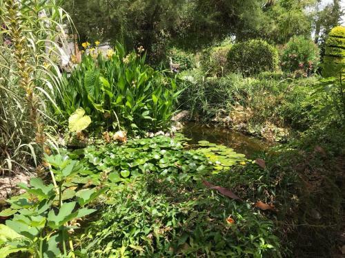 Bed & Breakfast Cortijo Andaluz