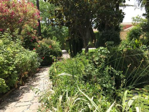 Bed & Breakfast Cortijo Andaluz