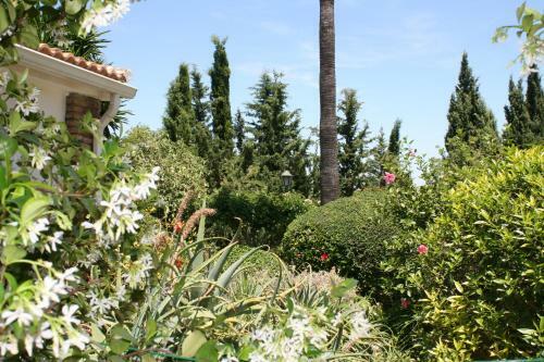 Bed & Breakfast Cortijo Andaluz