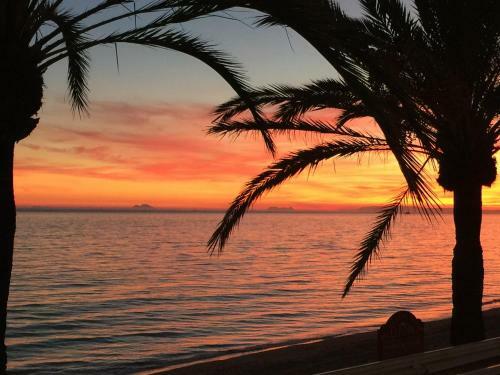 Skol Apartments Marbella