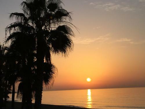 Skol Apartments Marbella