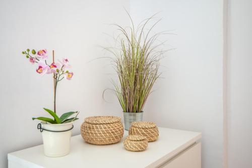 Apartamentos Iris
