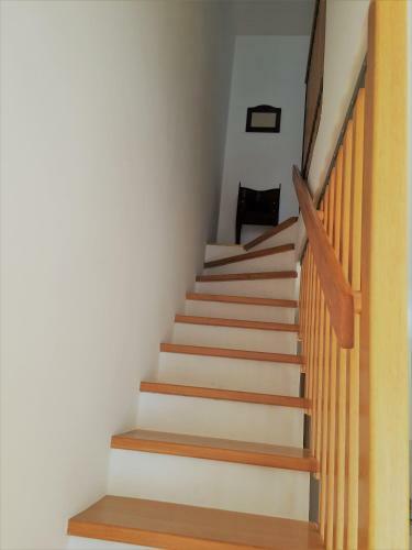 Apartments Holin