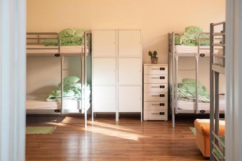 Fluxus Hostel