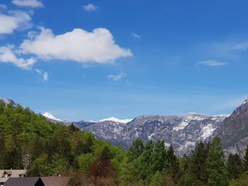Hotel Gasperin Bohinj