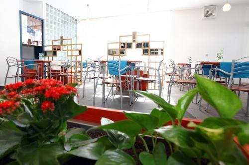 Hostel Soline