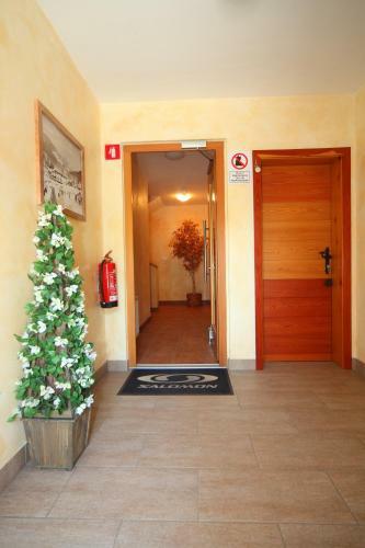 Apartments Budinek
