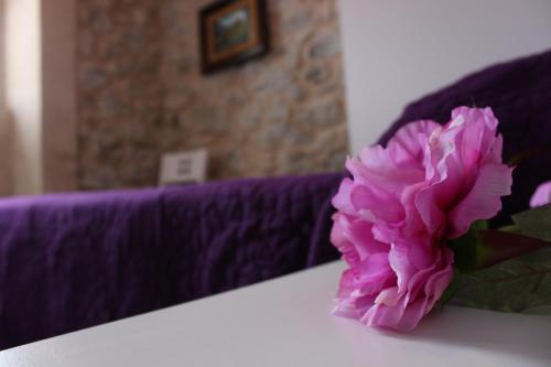 Apartamento Montesal La Cantina Del Puerto
