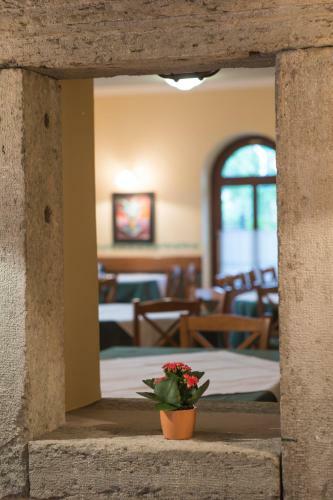 Hostal Pension Union