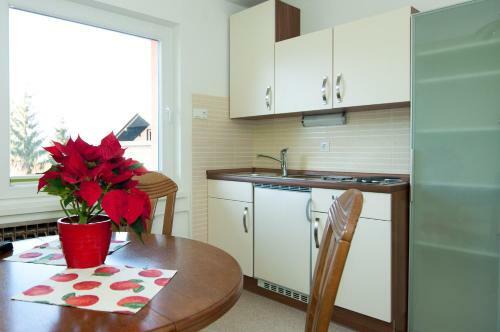 Apartments Mencinger