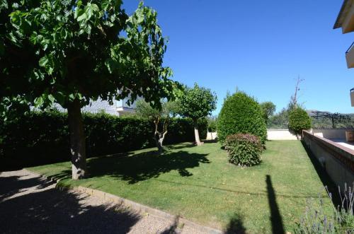 Apartamentos Falaguer