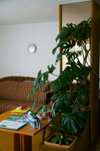 Bed & Breakfast Alparti Mini Hotel