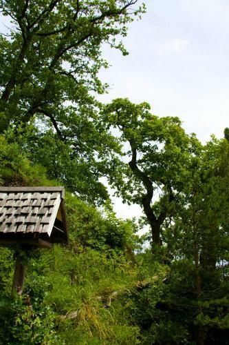 Bed & Breakfast Alparti Mini Hotel