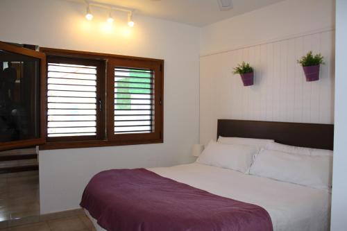 Apartamentos Mayag�ez - Adults Only
