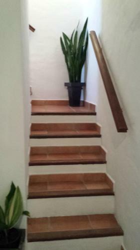 Agroturismo Casas Isabel
