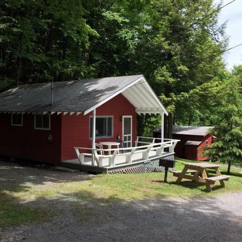 Motel Forest Hill Lodge & Cabins
