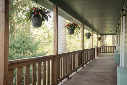 Motel Forest Hill Lodge & Cabins