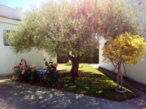 Apartamento Les Illes Alpen1