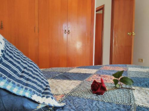Apartamento Les Illes Alpen1