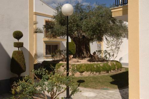 Apartamentos Vera Coast