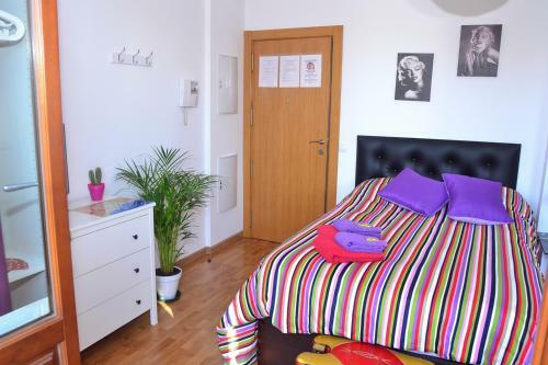 Malaga Dreams Apartments