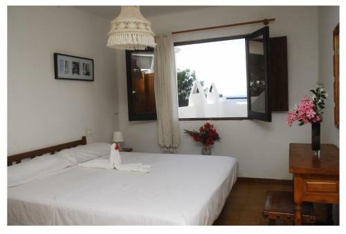 Apartmentos Nort