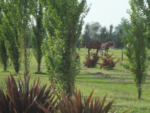 Alma Pampa