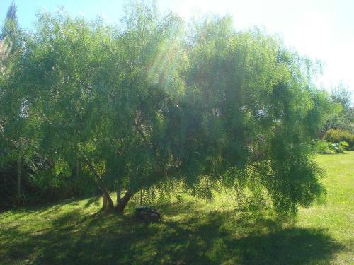 Apartamento Caba�as Hoja De La Tierra