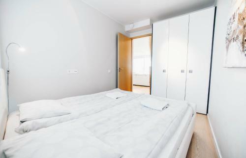 Apartamento Kreutzwaldi Penthouse