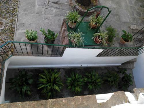 Hotel Ord��ez Sandoval