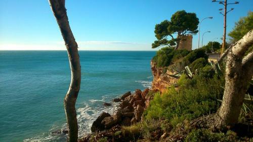 Apartamento Bertur Almanzor