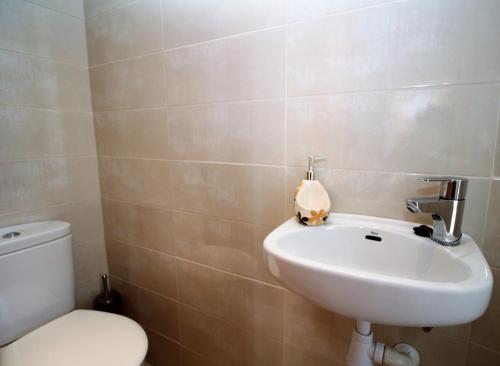 Apartamento Coblanca 7-41