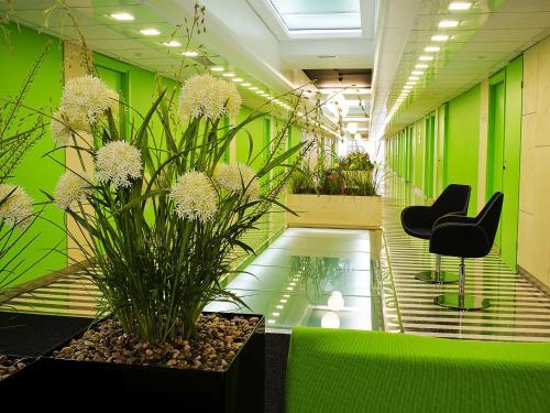 Hotel Spa Tervis