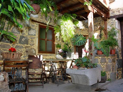 Casa Rural La Pileta - Doramas