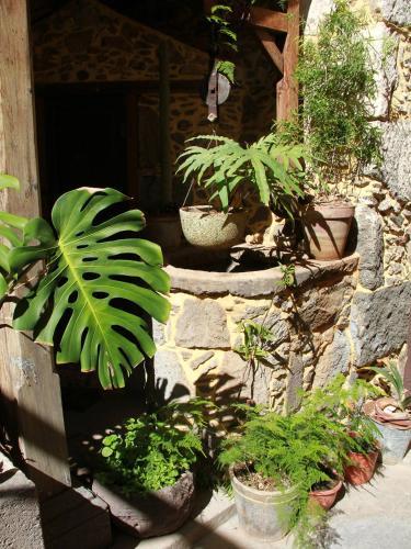 Casa Rural La Pileta - Doramas