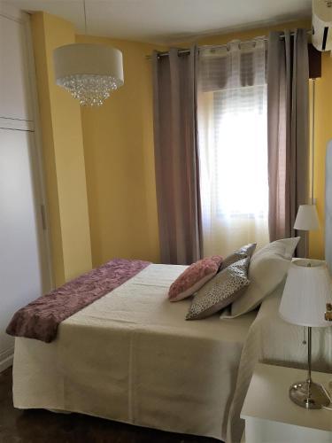 Apartamentos Acevedo Centro