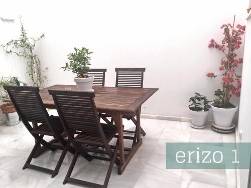 El Erizo Apartamentos