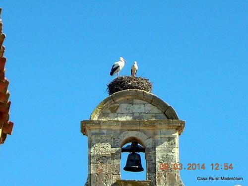 Agroturismo Casa Rural Maderolum