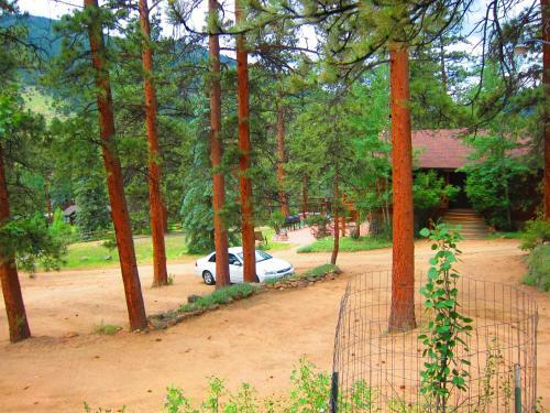 Lodge Amberwood