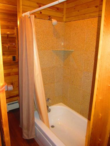 Lodge Amberwood