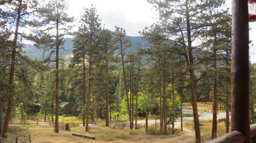 Lodge Amberwood