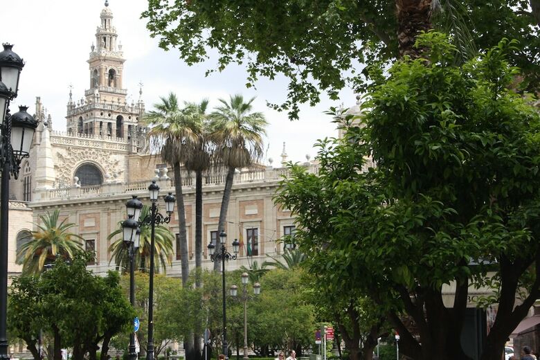 Apartamentos Avenida