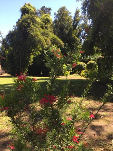 Altos Del Sur Caba�as De Monta�a
