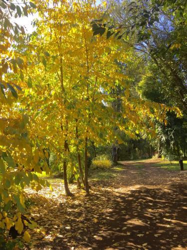 Altos Del Sur Caba�as De Monta�a
