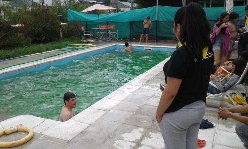 Apart Altos Del Bolson