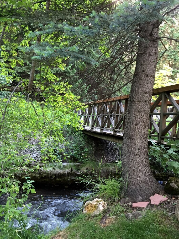 Treehouse On The Stream