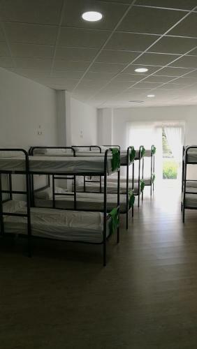 Albergue O Trisquel