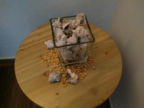 Hostal Pensi�n Casa Alvarito
